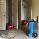 water damage cleanup