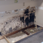 wall water damage