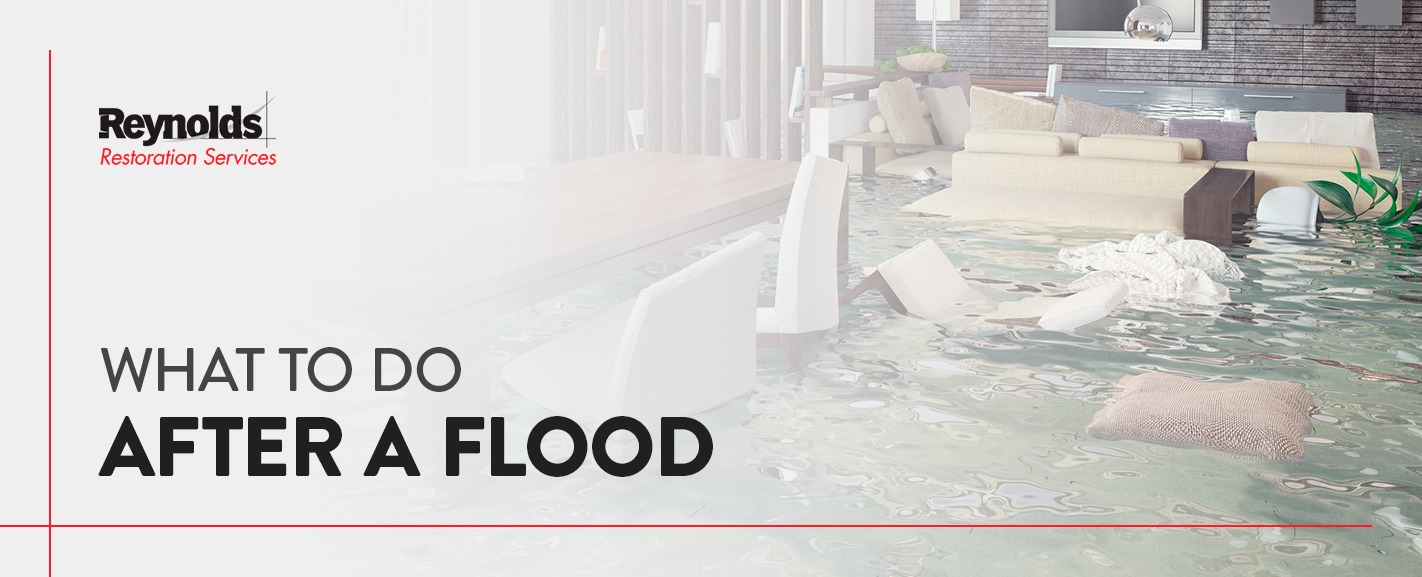 what to do after a flood