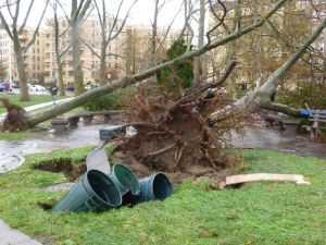 wind damage at a building