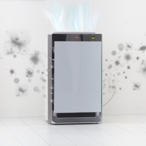 do air purifiers remove mold