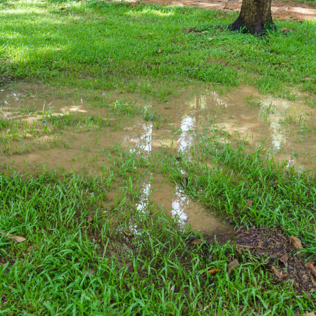 How to Divert Water Away from Your Home reynoldsrestoration