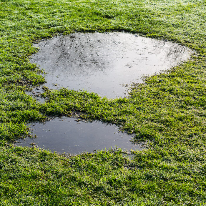 How to Tell If You Have a Water Leak Underground reynoldsrestoration