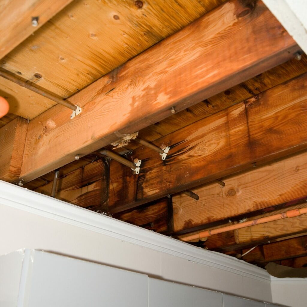 Hidden Dangers of Ignoring Roof Leaks Reynolds Restoration