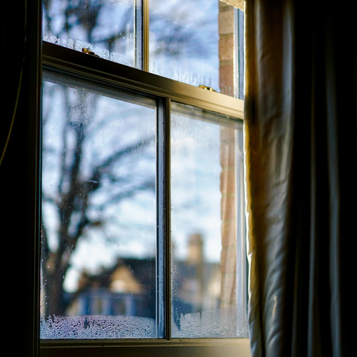 image of a window with ice forming on it