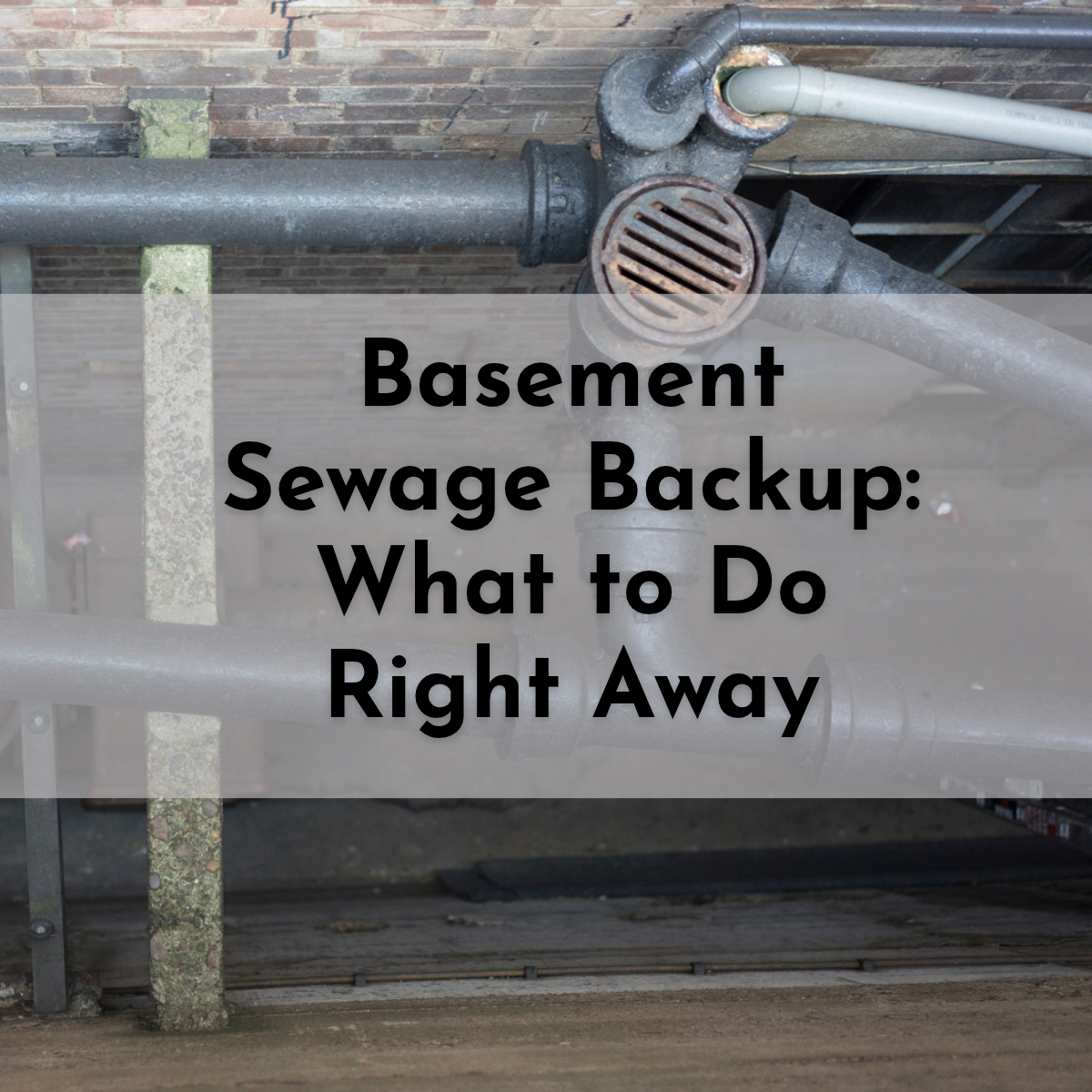 image of sewage pipes in a basement